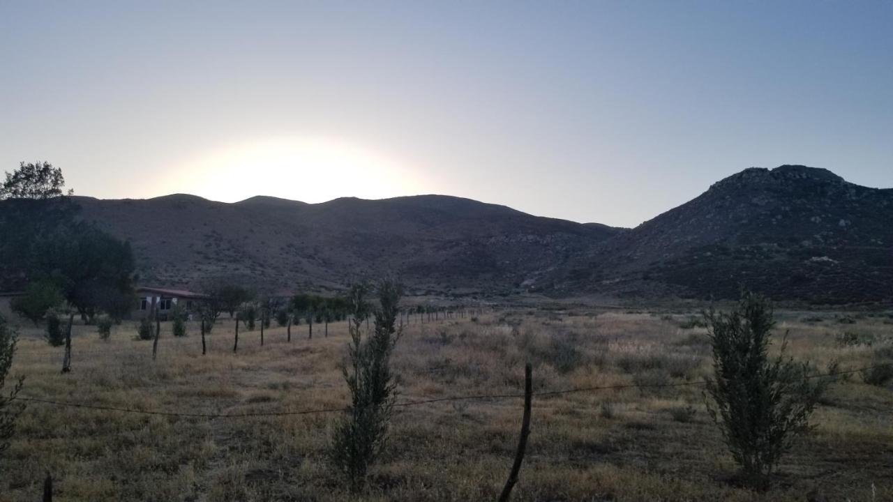 Cabanas Los Laureles Ruta Del Vino Bc Ενσενάντα Εξωτερικό φωτογραφία